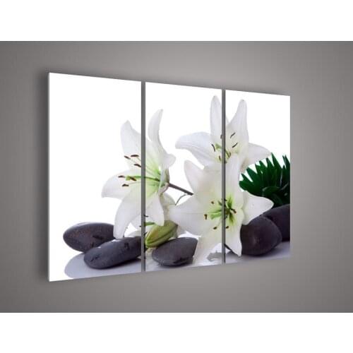 3 Piece Wall Art No Framed Modern Abstract Acrylic Flower Black & And White Leinwanbild White Lilies Oil Painting On Canvas