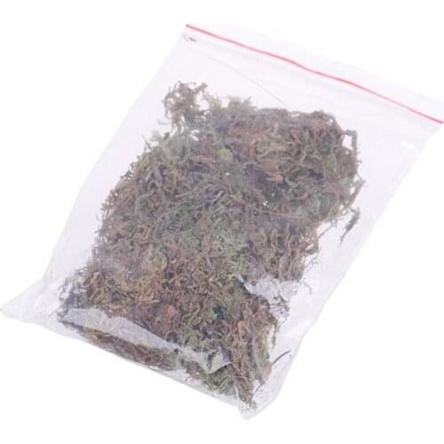 10g Sphagnum Moss Moisturizing Nutrition Organic Fertilizer For Phalaenopsis Orchid Musgo Sphagnum Sphagnum Moss Garden Supplies