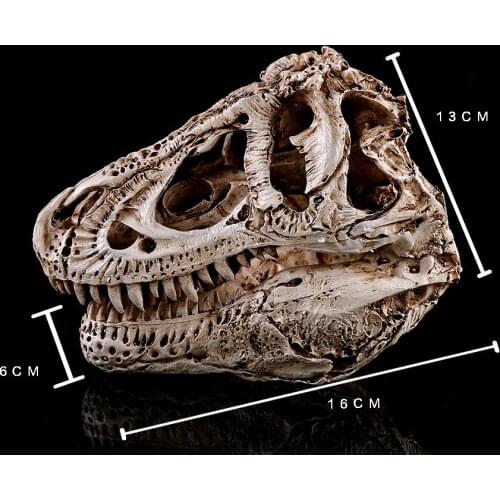 Tyrannosaurus Rex Skull Dinosaur Specimen Resin Handicraft Study Decoration Resin Skull Veterinary