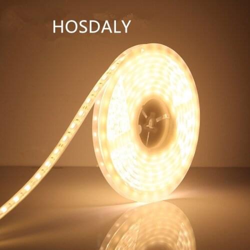 Led Strip Light 12V Waterproof IP68 Tape With Full Silicon Tube Outdoor Under Water Ribbon RGB Red Green Blue Neon Rope Lamp