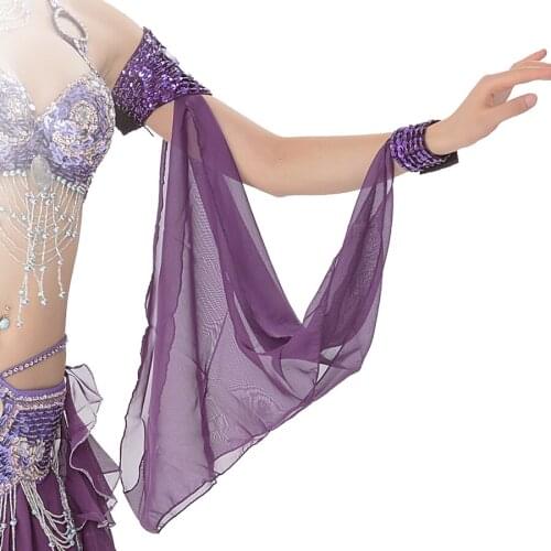 2019 Belly Dance Accessories Clothing Set Armbands Armband Indian Sari Ropa Danza Del Vientre Danza Tribal Bollywood