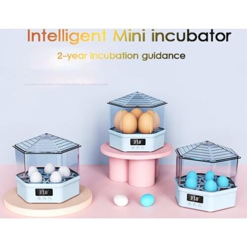 4/5 Eggs Incubator Chicken Bird Egg Incubator Automatic Intelligent Quail Parrot Brooder Hatcher Chicken Duck Pigeon Incubators