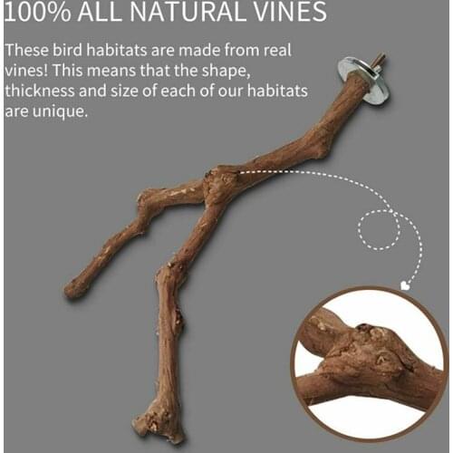 Wood Birds Claws Climbing Wild Grape Perches Bird Grinding Standing Bird Cage Accessories Budgies Cockatiels Canaries