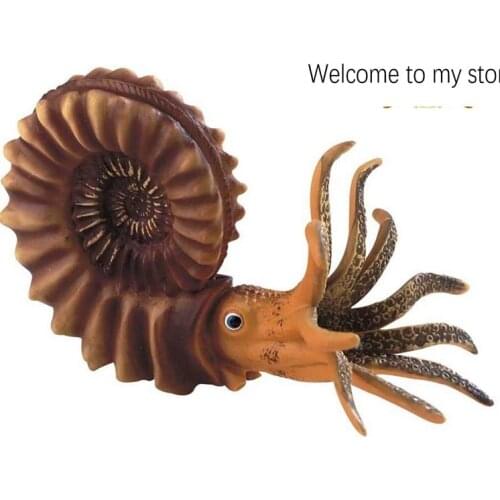 Pvc figure MODEL Ammonite Nautilus Ancient Creature Model
