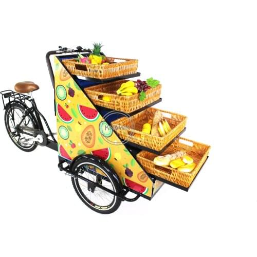 Exclusive Design Style Fruits Vegetables Cart Electric Cargo Tricycle Commercial Three Wheel Bike Bread Vending Bicycle