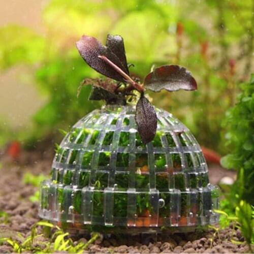 1pc Fish Tank Media Moss Ball Live Plant Filter Aquarium Aquatic Bio Moss Ball Filter Aquarium Fish Tank Decor Pet Supplies