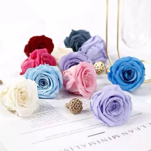 6Pcs/BOX High Quality Preserved Flowers Immortal Roses 5-6CM Diameter Christmas Gift Decoration Gift Immortal Flower Material