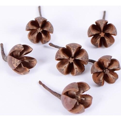 Free Shipping 15pcs/lot Random Size Natural dried flowers Nutshell Handmade candy box Christmas Wedding decoration