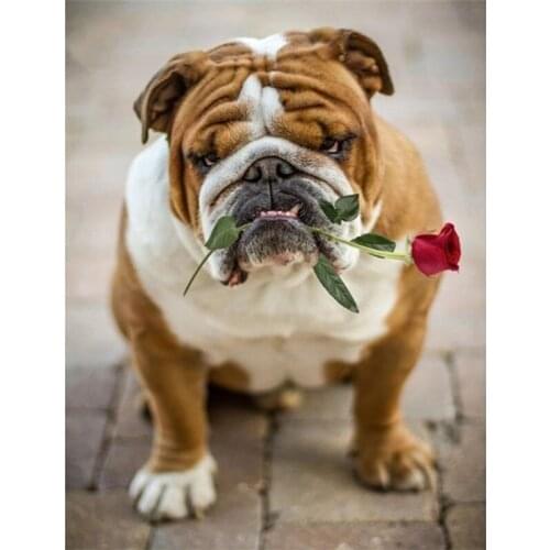 DIY 5D Diamond Painting Dog Diamond Embroidery Sale Mosaic Picture Of Rhinestones full round drill Animal wall Sticker Decor