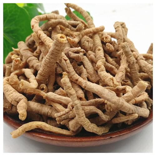 RADIX POLYGALAE, Polygala Tenuifolia Root, Thinleaf Milkwort Root Bark, Yuan Zhi