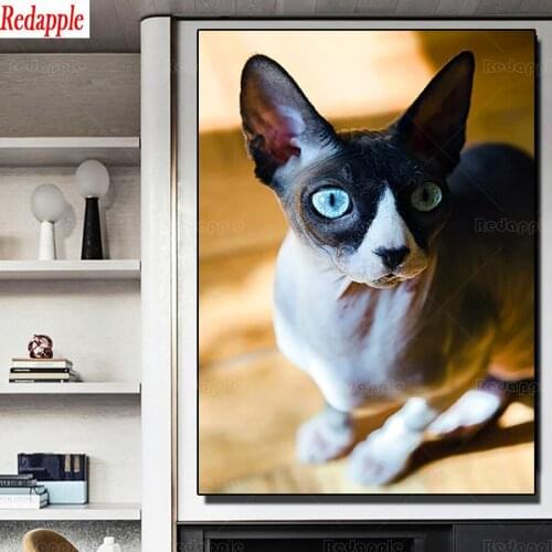 5D Diamond Painting cute pet Full square Round Picture Of Rhinestones Diamond Embroidery Animal sphynx cats Children Gift decor