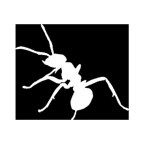 13.9CM*11.6CM Simple Cool Insect Ant Minimalist Nifty Vinyl Decal Dazzling Car Sticker Black/Silver C19-1372