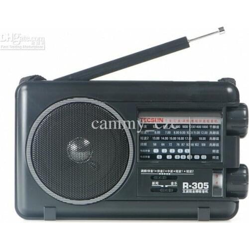 Free Shipping Tecsun R305 Mini Digital FM Radio
