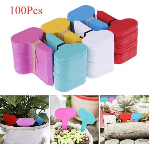 100Pcs/Lot Garden Labels Gardening Plant Classification Sorting Sign Tag Plant Nursery Signs Prompt Card Identification Tools