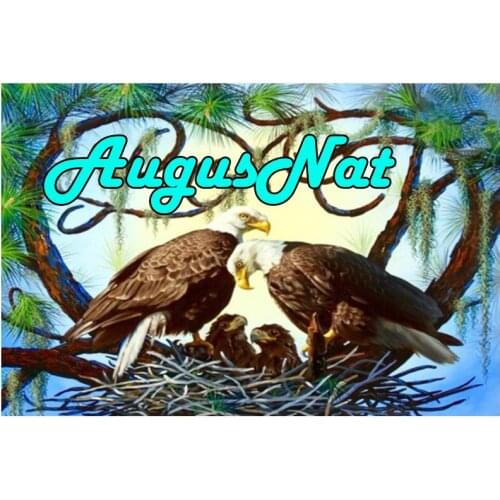 Full drill diamond painting eagle full round daimond embroidery birds family pebble bead puzzle picture diamant mosaic sticker