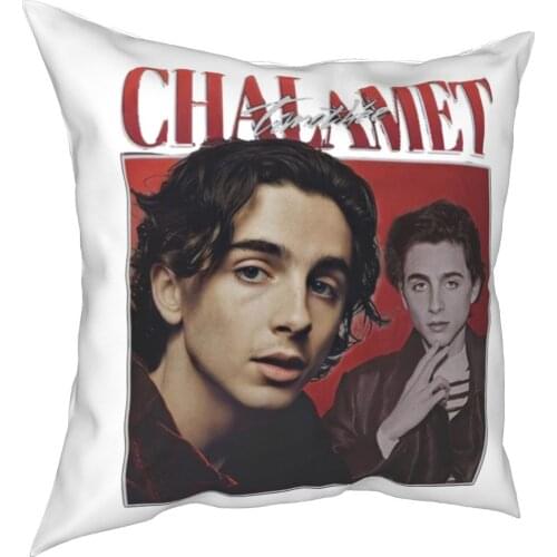 Timothee Chalamet Kissenbezug Kissen Abdeckung Geschenk Elio CMBYN Wenig Frauen Kissen Fall Abdeckung Hause Platz 18