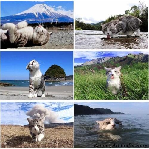 5D Diy Diamond Painting Animal Cute Cat Cross Stitch Kits Embroidery Full Square Round Drill Animal Mosaic Pictures Home Decor