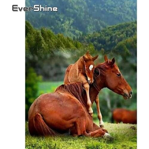 EverShine DIY Diamond Painting Animals Cross Stitch Diamond Embroidery Full Display Horse Picture Of Rhinestones Diamond Mosaic