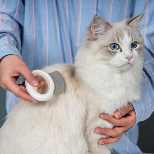 New Dogs Combs Dog Cute Cat Grooming Tools Pet Comfort Flea Brush Short Long Hair Fur Removeb Hair Grooming Tools Deworming