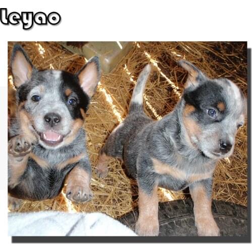 Australian Cattle Hay Puppy Full Square/Round Diamond Embroidery Dogs DIY 5D Diamond Painting Cross Stitch Mosaic Kits