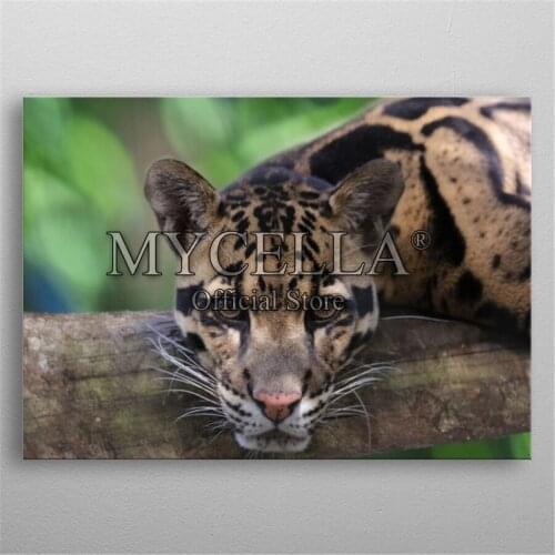 Full 5D DIY Diamond Painting Square Diamond Embroidery Animal Clouded Leopard Diamond Mosaic Cross Stitch Home Decor Arts