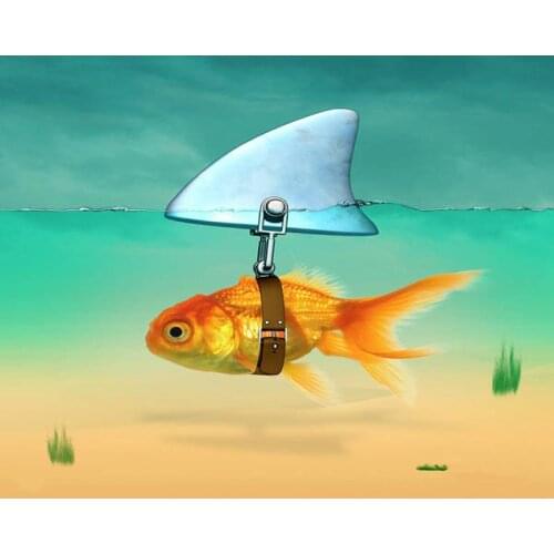 DIY Painting By Numbers Goldfish camouflaging shark Kit Oil Picture By Numbers Wall Art Painting on Canvas Home Decoration Gift