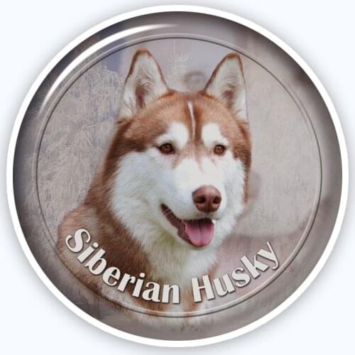 A0677# Various Sizes Removable Decal Siberian Husky-1 88 Sticker Waterproof Accessories on Bumper Rear Window Laptop