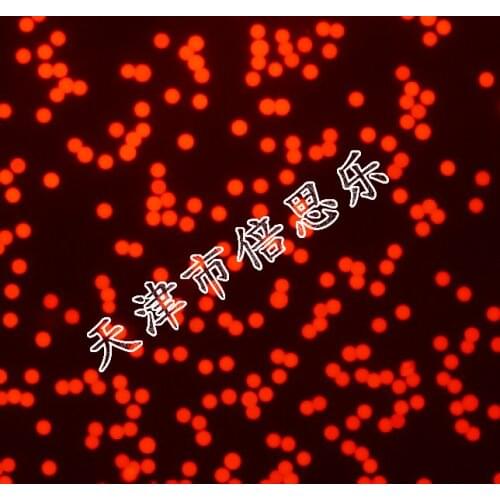 Polystyrene Red Fluorescent Microspheres/Red Fluorescent Polystyrene Microspheres/Ex 620nm/Em 680nm