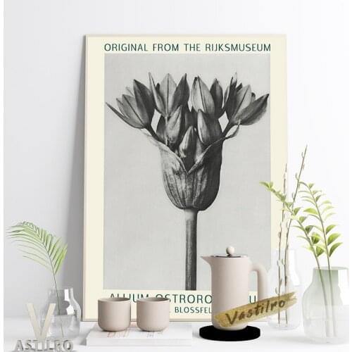 Karl Blossfeldt Exhibition Museum Black White Poster Allium Ostrowskianum Vintage Photograph Prints Canvas Painting Home Decor