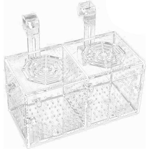 Best Aquarium Breeding Isolation Box Acrylic Fish Tank Acclimation Hatchery Incubator Holder Divider for Fishes Shrimp