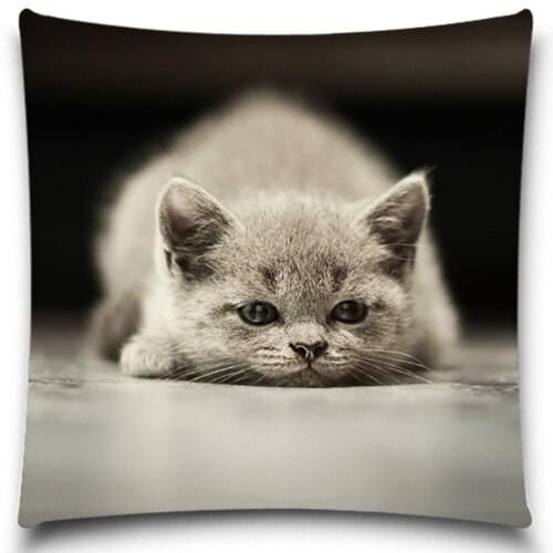 Animals of Cat pillow case,decorative Pillow Covers and Washable Waist Cushion cover