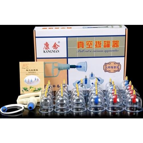 VILECO Chinese Medicine