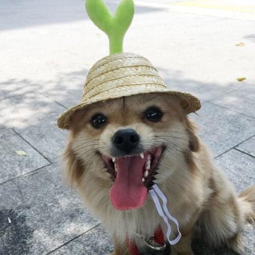 S/M Summer Dogs Cats Sun Protection Caps Straw Woven Pet Hat Breathable Bean Sprouts Shape Cute Hat for Pet Outdoor Products