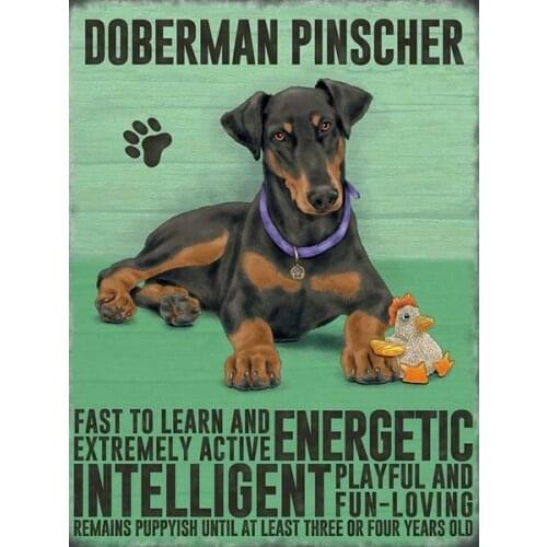 Vintage Metal Sign Plaque Doberman Pinscher Dog Puppy Breed Pet Shop Home Decor