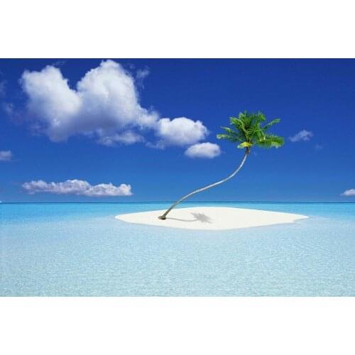 Palm sun sea water Art print Silk poster Home Wall Decor