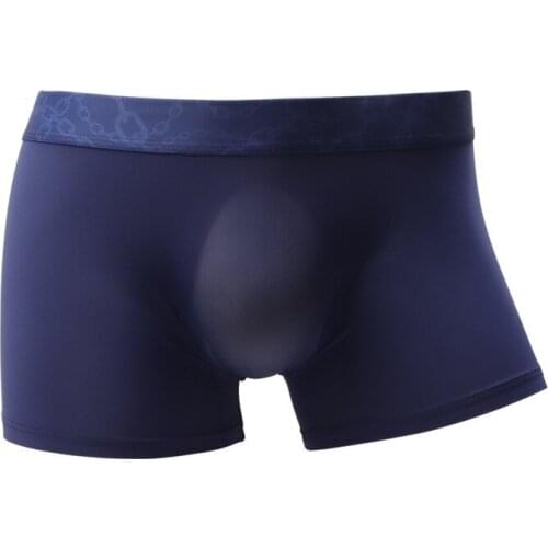 Mens Boxers Sexy Gay Underwear Transparent Ice Silk Panties Man Solid U Convex Pouch Underpants Male Boxershorts Plus Size