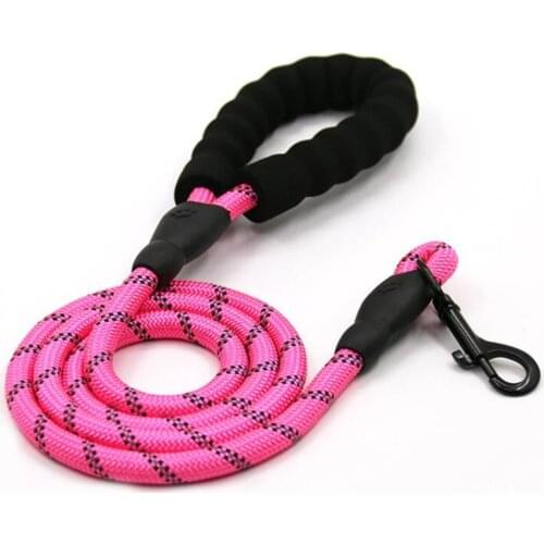 Luminous Beautiful 1.5M Nylon Safety Buckle Dog Pet Leash