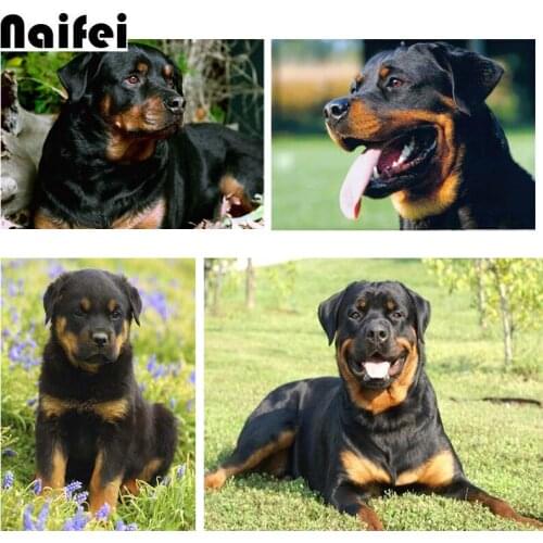 5D DIY round Diamond Painting rottweiler pet dog Cross Stitch Full square Diamond Embroider animal room Home decor