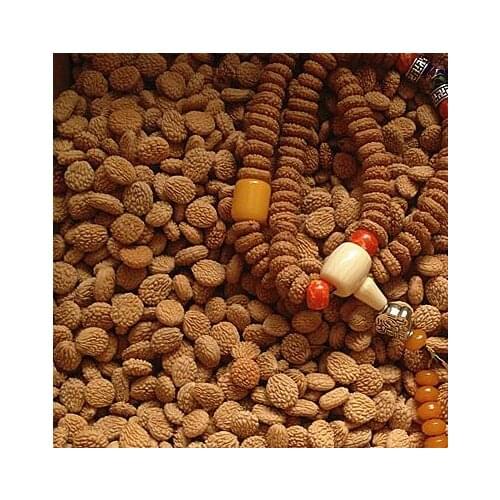 New interesting Chinese Preserved plants Prinsepia sinensis diy wreath Crafts Wedding Decor 5 particles / bag