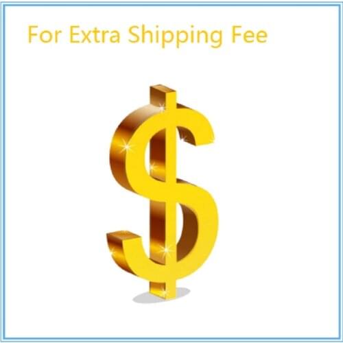 Extra Fee/cost just for the balance of your order/shipping cost or remote fees