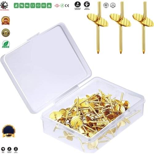 Hangers 20 lbs Professional Plaster Picture Hanging Pins Quick Picture Hangers Picture Frame Hangers on Wooden Drywall,Screws