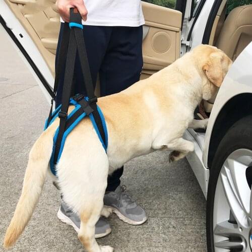Dog Hind Legs Auxiliary Belt for Recovery Disability Leg Brace Hind Leg Help Walking Harness Old Dogs Balance Support Belt
