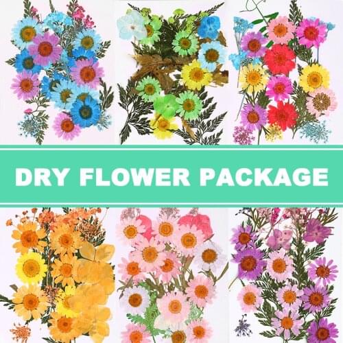 Universal Pressed Flower Mixed Dried Flowers Art Carft DIY Making Floral Decors Collection Gift Craft Makeup