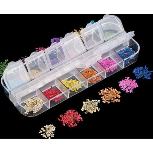12 Colors 3D Decoration Real Dry Dried Flower for UV Gel Acrylic Nail Art Tips