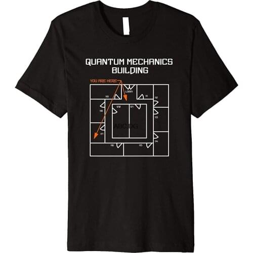 Quantum Mechanics Building Funny Physics T Shirt(1)