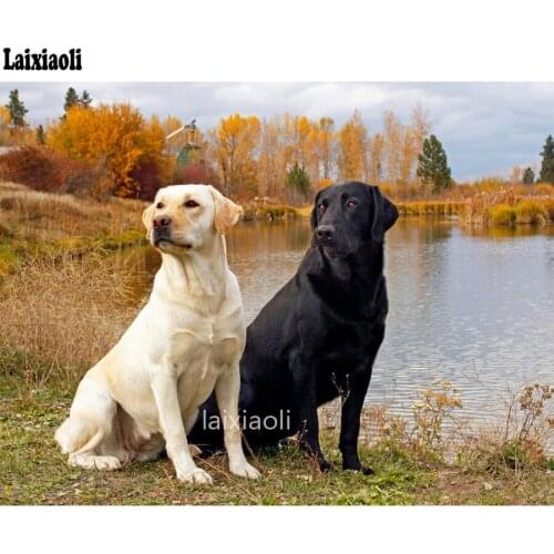 Pet animal Lovely diamond embroidery labrador 5d diamond painting full diamond mosaic picture of rhinestones cross-stitch custom