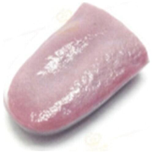 2020 New Replica Tongue Gross Jokes Prank Tricks Halloween Horrific Prop