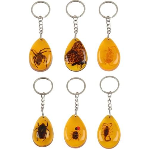 New Amber Key Chain Resin Insect Specimen Scorpion Spider Keyring Jewelry Gifts