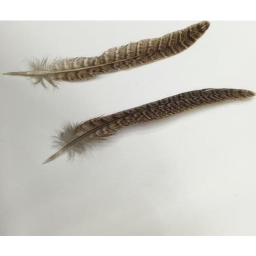 100Pcs/Lot 6-8" 15-20Cm Natural Hen Ringneck PHEASANT Quill FEATHERS Craft Millinery Fly Fishing