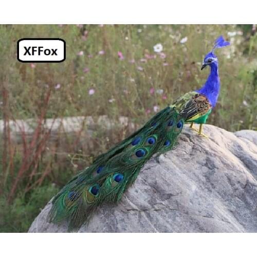 Cute real life peacock model foam&feather turned colorful peacock bird gift about 50cm xf2131